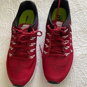 Mens Nike Zoom  Pegasus 10.5